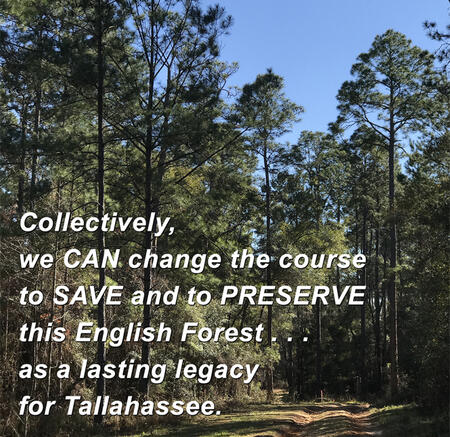 A photo of the English Forest in the day. A text overlay reads "Collectiveyly, we CAN change the course to SAVE and to PRESERVE this English Forest...as a lasting legacy for Tallahassee."